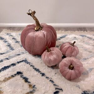 Pink Velvet pumpkins